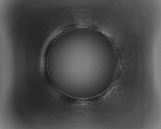 X0000100760343200806261609