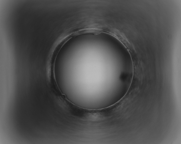 X0000100760344200806261609