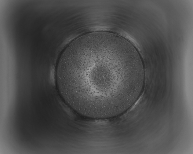 X0000100760345200806261609