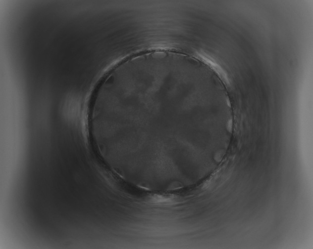 X0000100760346200806261609