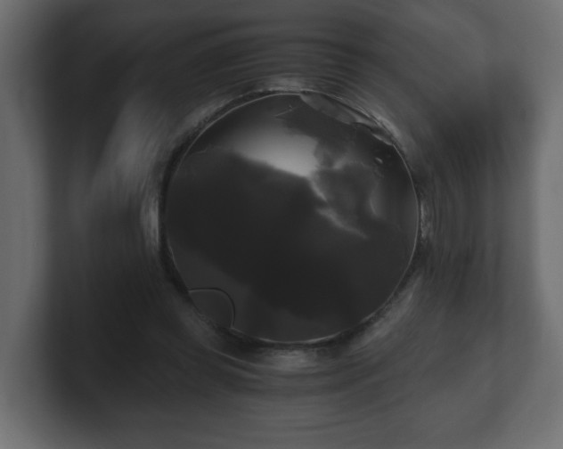 X0000100760349200806261609