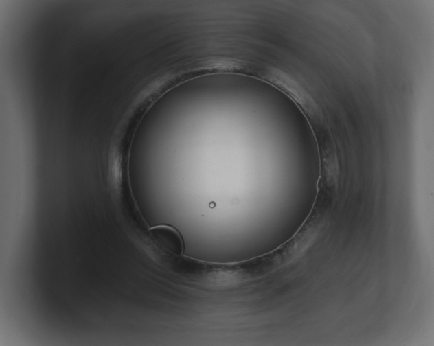 X0000100760350200806261609