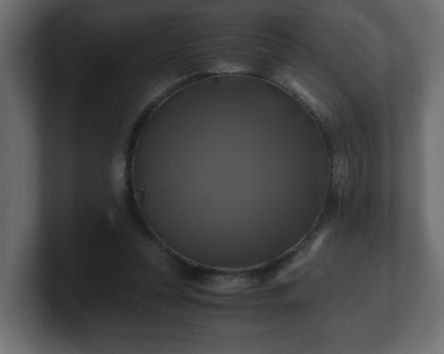 X0000100760351200806261609