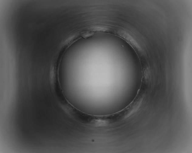 X0000100760352200806261609