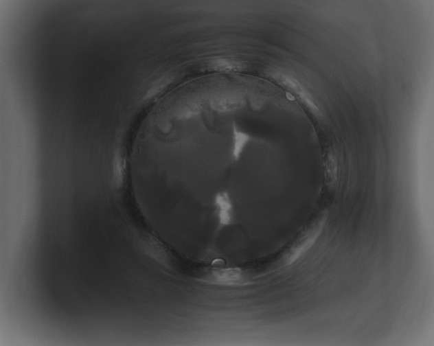 X0000100760355200806261609