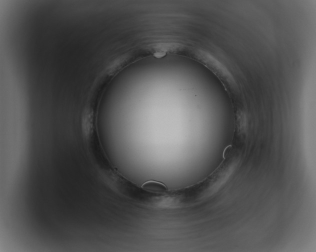 X0000100760356200806261609