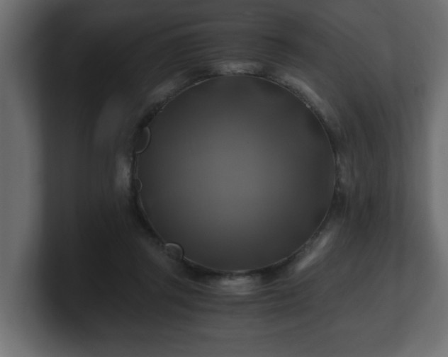 X0000100760357200806261609