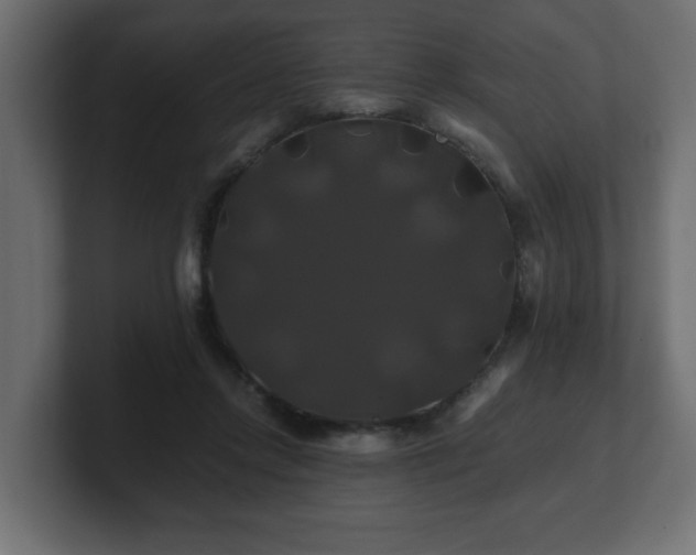 X0000100760358200806261609