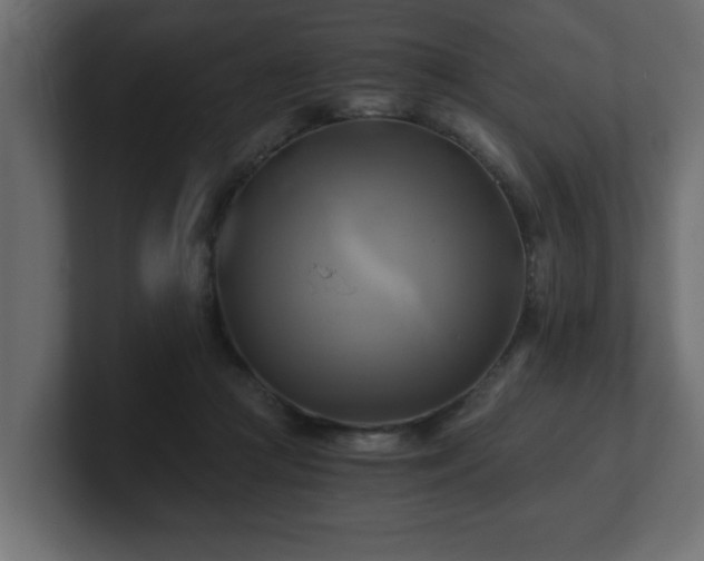 X0000100760361200806261609