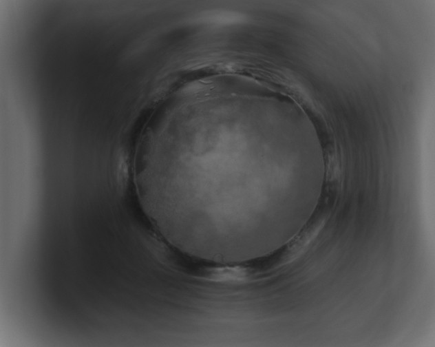 X0000100760363200806261609