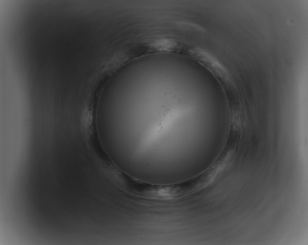 X0000100760365200806261610