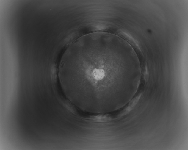 X0000100760366200806261610