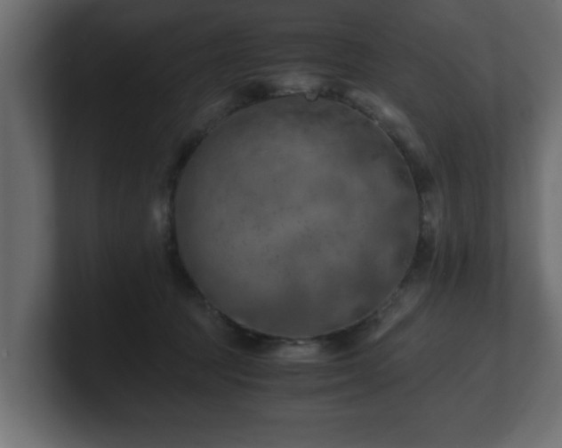 X0000100760369200806261610