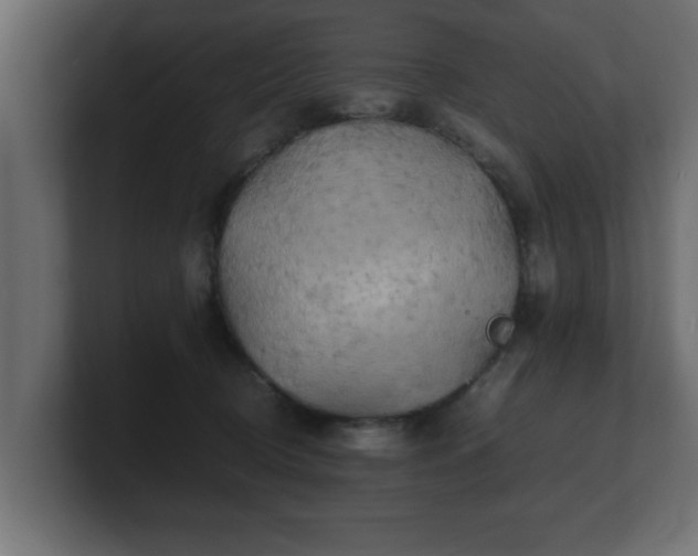 X0000100760370200806261610