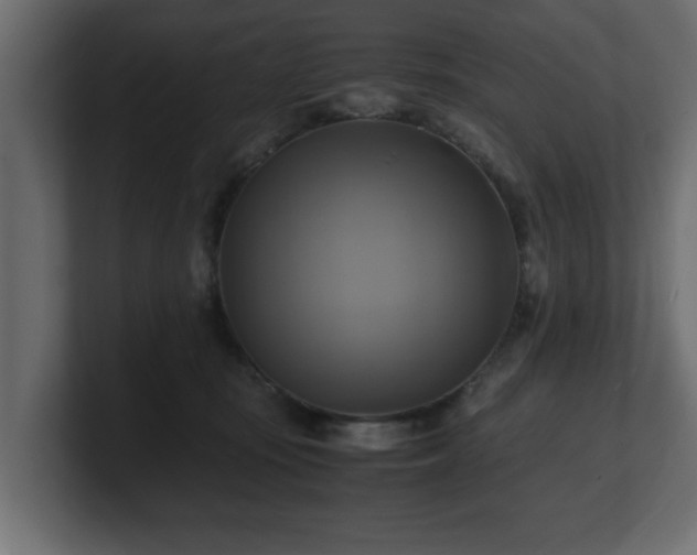 X0000100760371200806261610