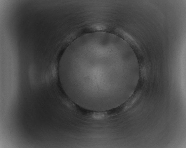 X0000100760373200806261610