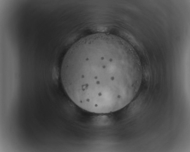 X0000100760374200806261610