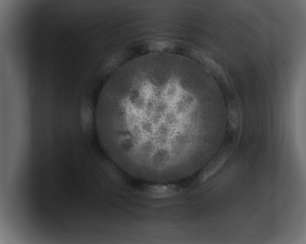 X0000100760375200806261610