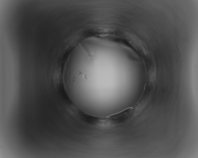 X0000100760376200806261610