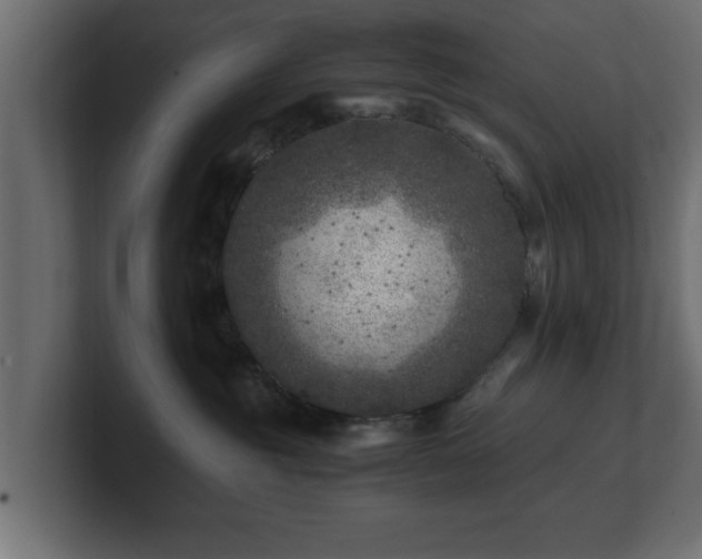 X0000100760381200806261610