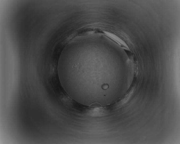 X0000100760382200806261610