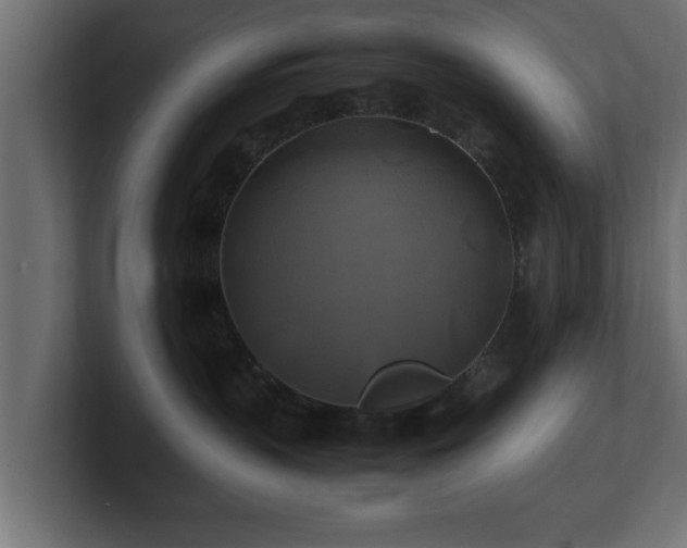 X0000100760383200806261610