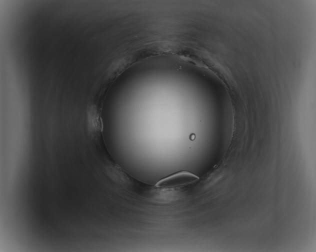 X0000100760384200806261610