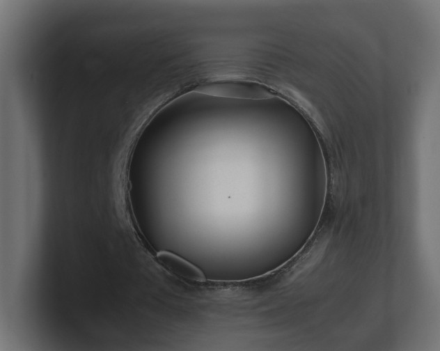 X0000100760385200806261609