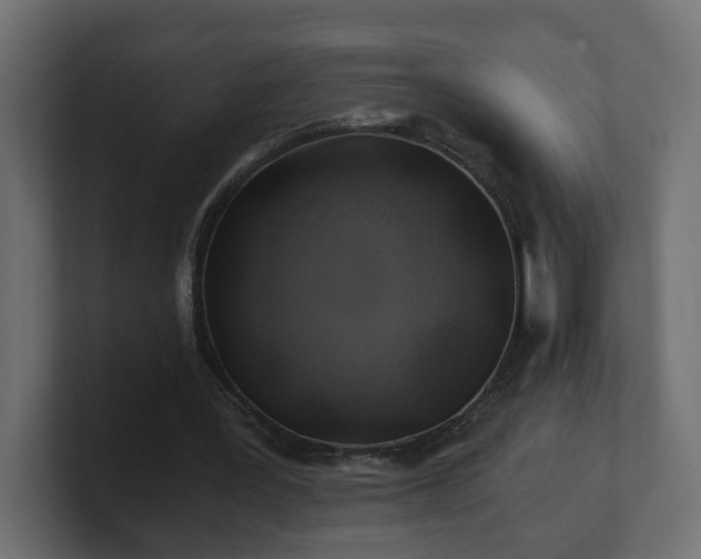 X0000100760387200806261609