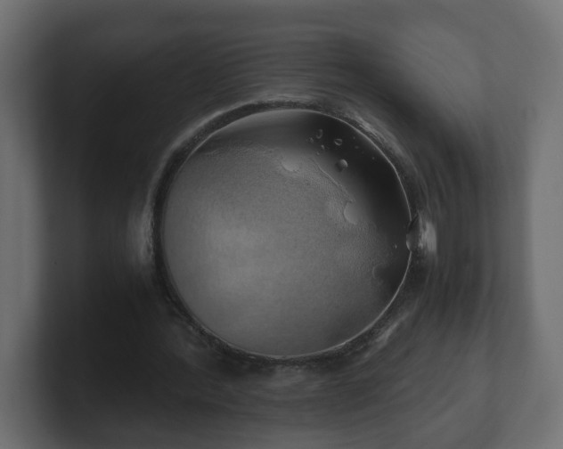 X0000100760388200806261609