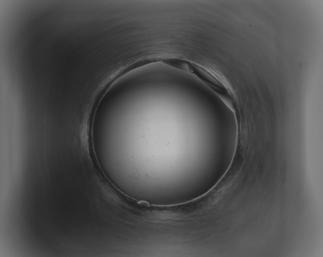 X0000100760389200806261609