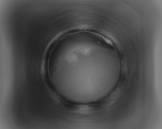 X0000100760392200806261609