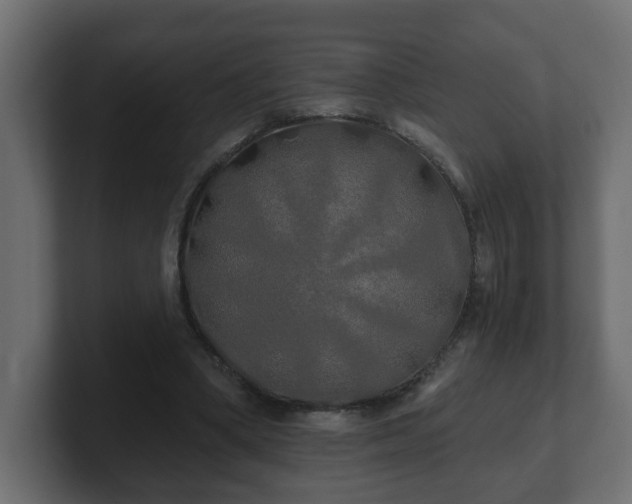 X0000100760394200806261609