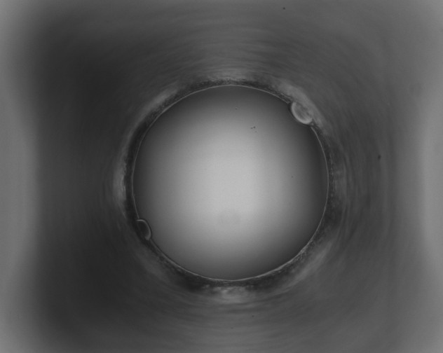 X0000100760395200806261609