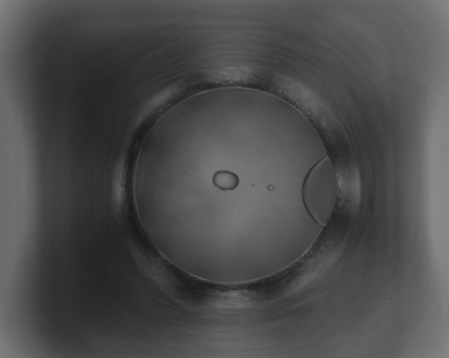 X0000100760396200806261609