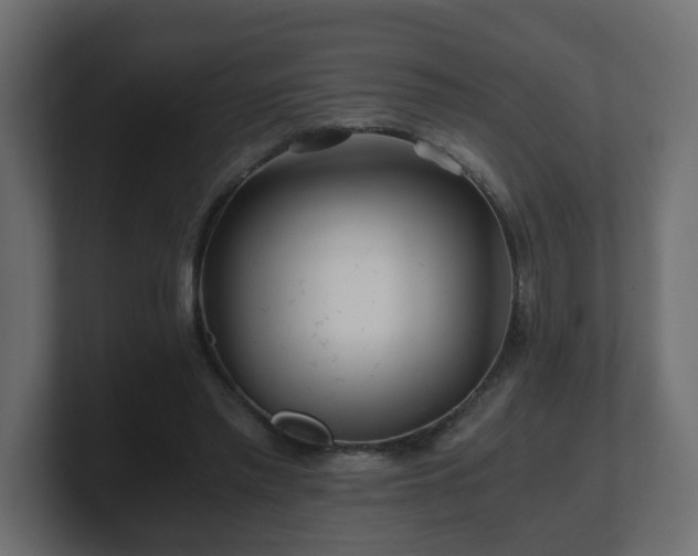 X0000100760397200806261609