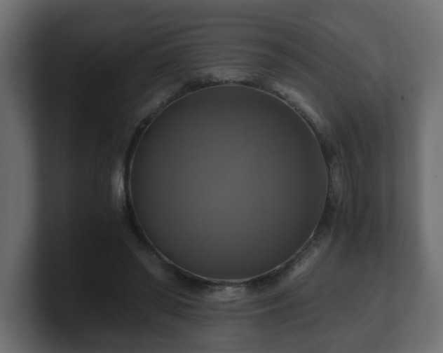 X0000100760398200806261609