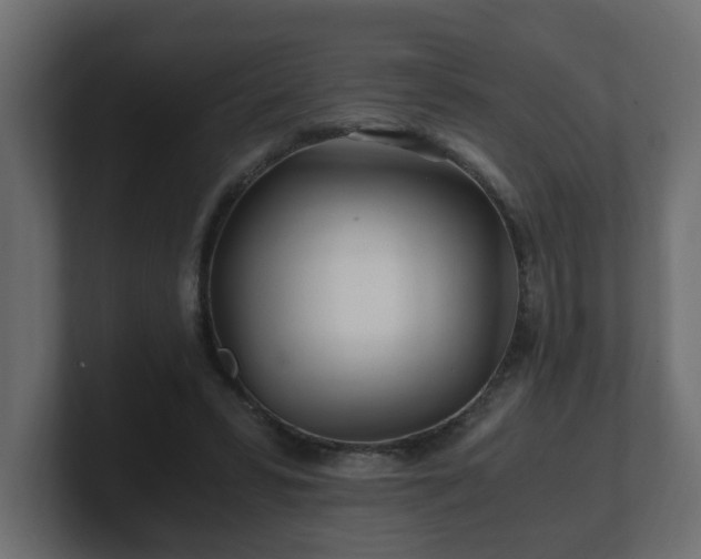 X0000100760399200806261609