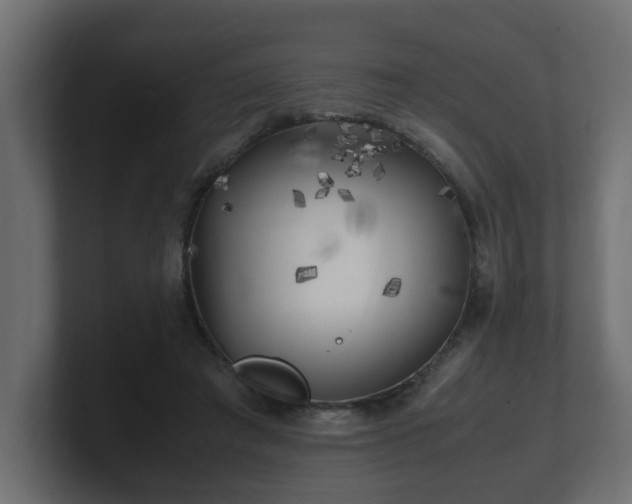 X0000100760401200806261609