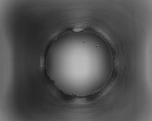 X0000100760403200806261609