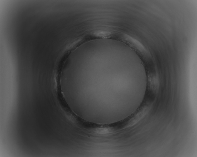 X0000100760404200806261609