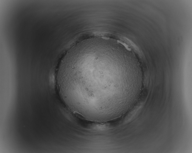 X0000100760405200806261609