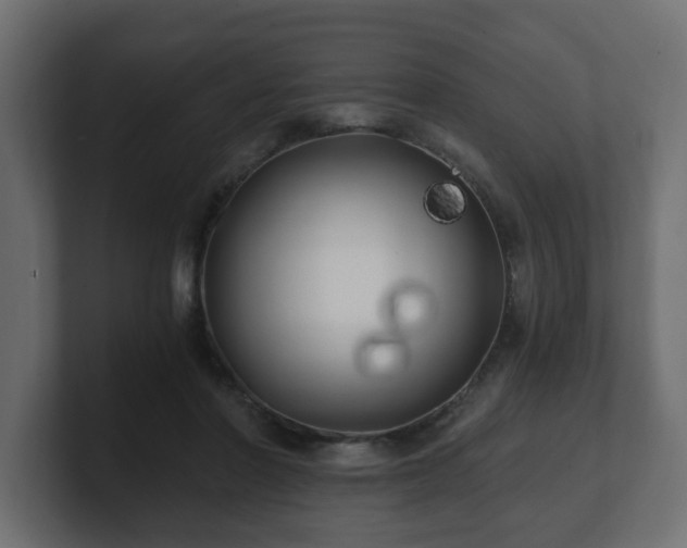 X0000100760406200806261609