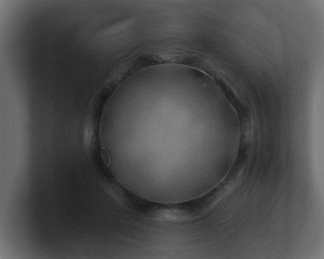 X0000100760408200806261609