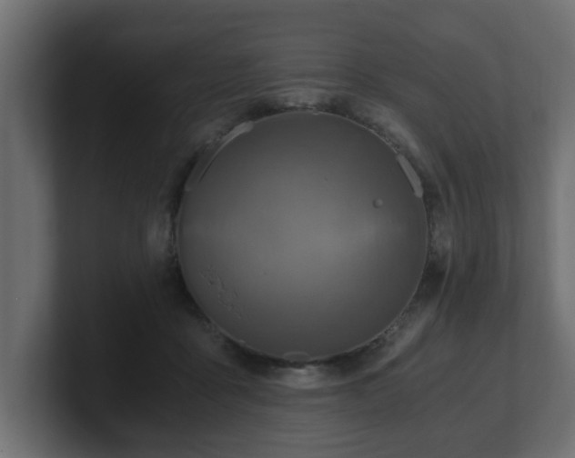 X0000100760411200806261609