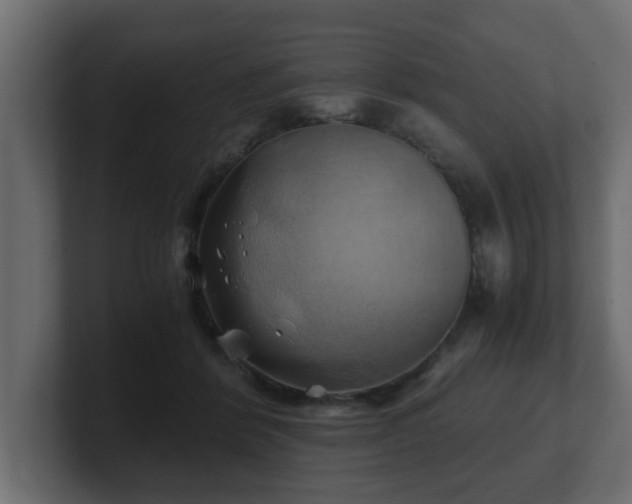 X0000100760412200806261609