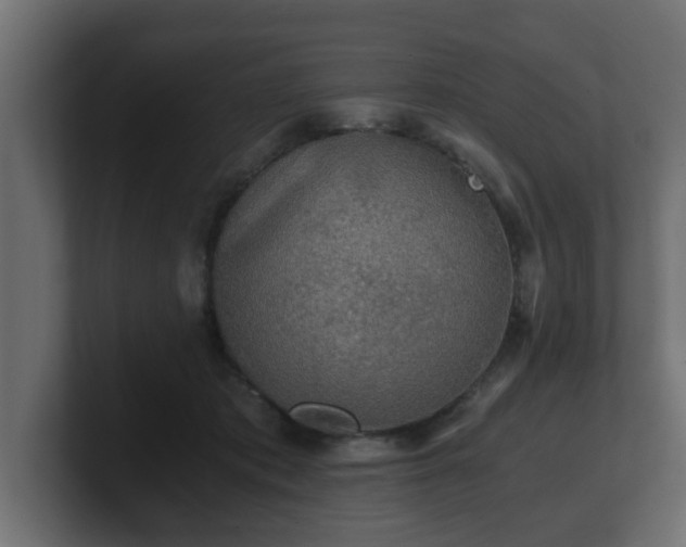 X0000100760413200806261609