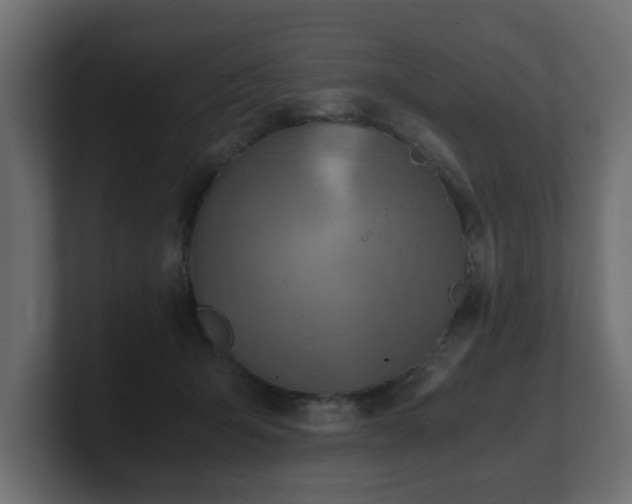 X0000100760415200806261609