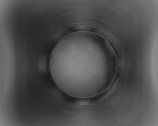 X0000100760416200806261609