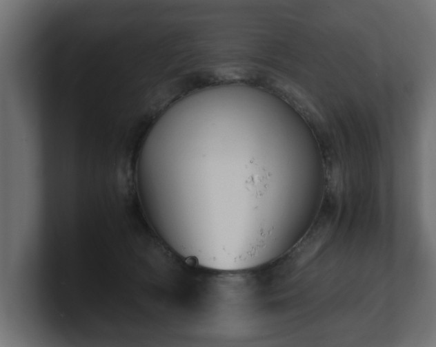 X0000100760418200806261609